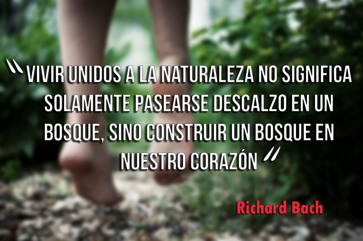 frases bonitas colección 13 - frases de la vida