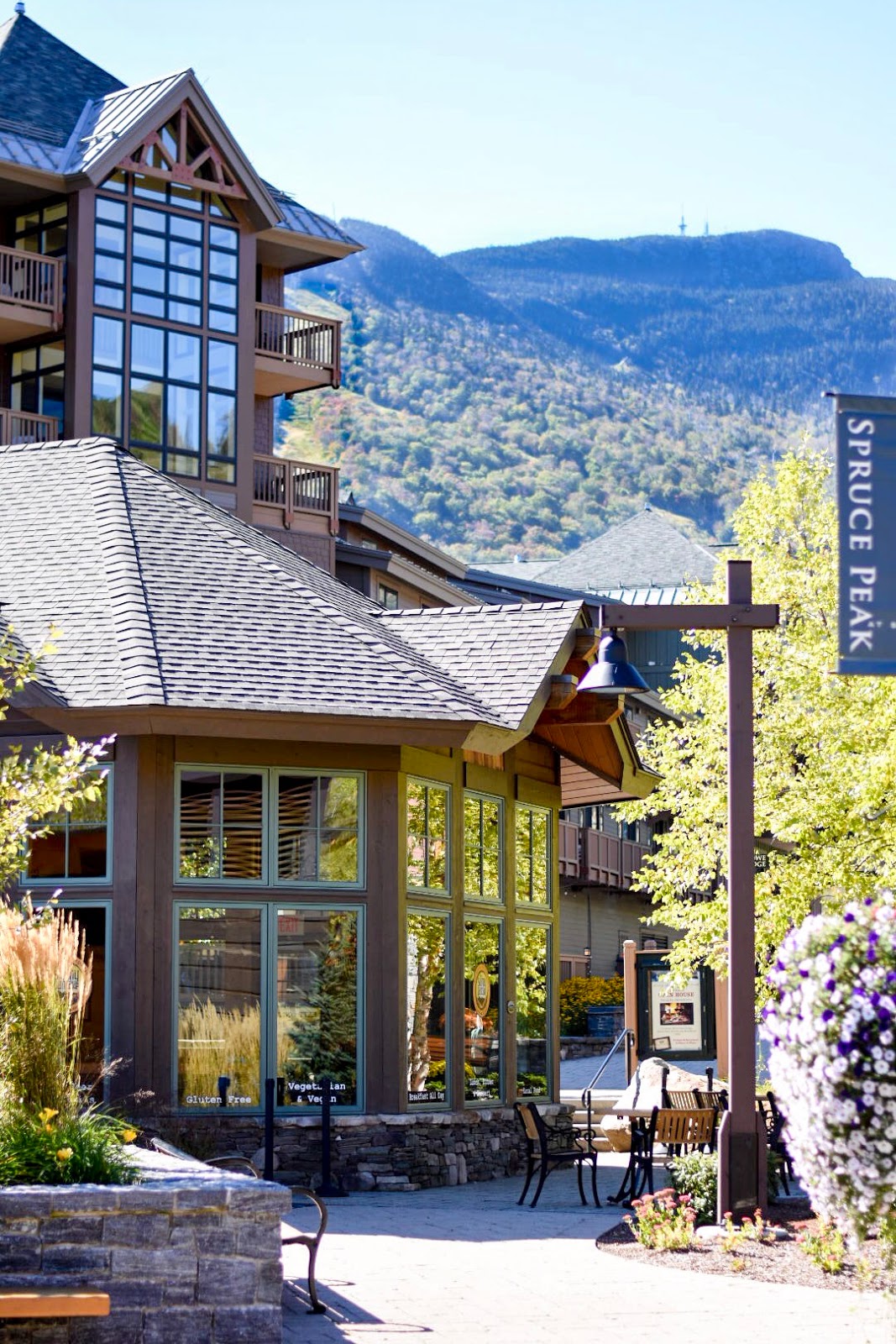 The Cheeky Been Stowe Mountain Lodge Hotel Review