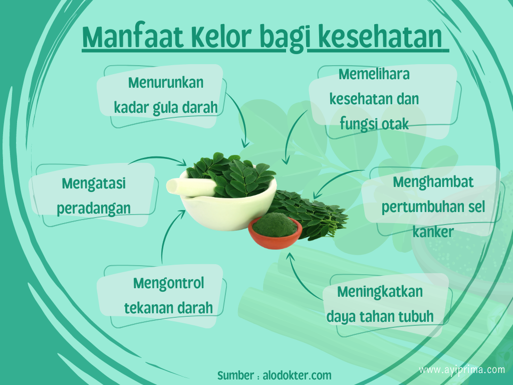 Manfaat Sayur Daun Kelor