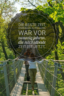 Die 50 besten Zitate zu den Themen Wald und Bäume | Waldzitate | Baumzitate | Naturzitate | Zitate-Wald | Inspirierende-Zitate