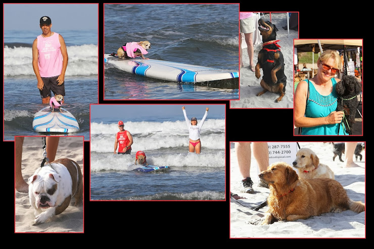 Surf Dog Surf a Thon 2013