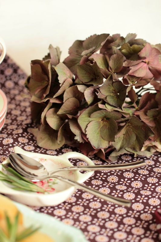 Pochierte Rosmarin Birnen mit Balsamicohonig - Sasibella Pochierte Rosmarin Birnen mit Balsamicohonig - Sasibella