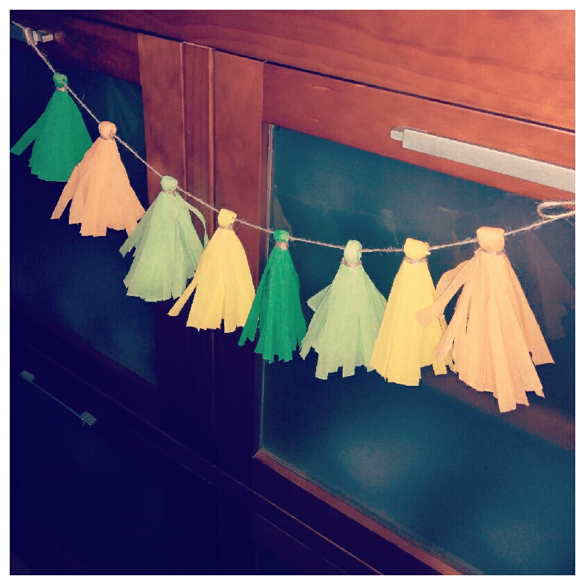 <img alt="GUIRNALDA POMPONES LOWCOST" src="guirnaldapompones.jpeg" >