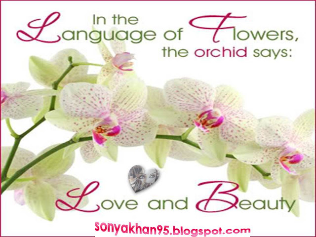 download flower love language pictures