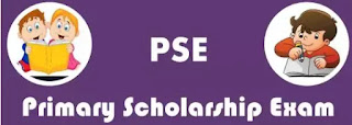 PSE-SASE Übungsmaterialien