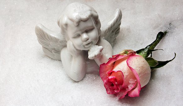 sweet images for Whatsapp profile sweet images for Whatsapp profile