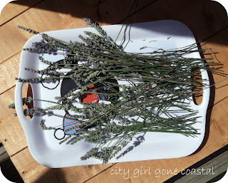 How does your garden grow?!