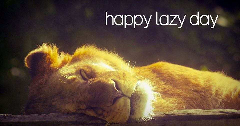 National Lazy Day