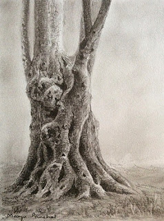 step 4, creating a charcoal sketching of a tree by Manju Panchal