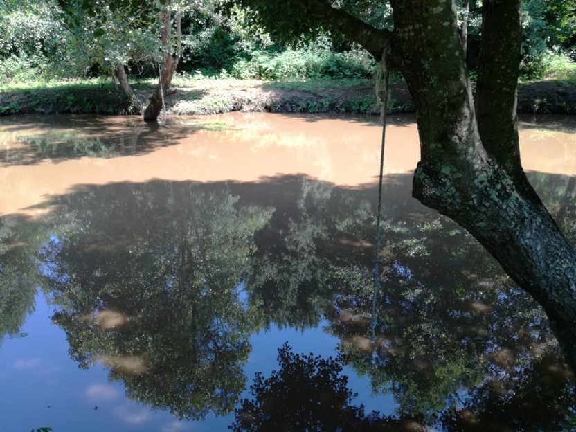 Zona de Saltos para a água Zona de Saltos para a água