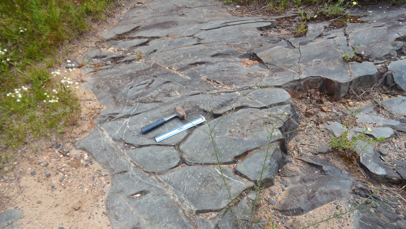 Fossils and Geology of Lanark County, Ontario: An Outcrop that Records ...
