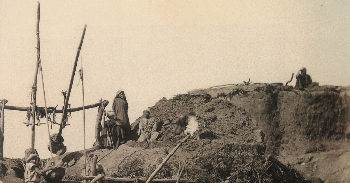 Ecology and Empire in Ottoman Egypt