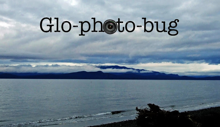 Glo-photo-bug