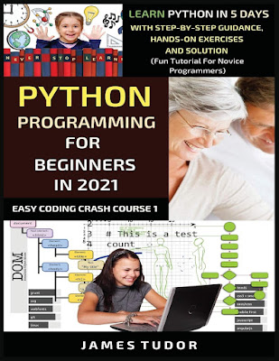 python journey from novice to expert pdf python journey from novice to expert pdf