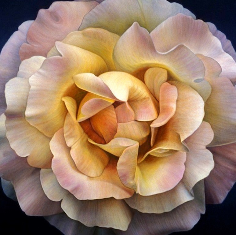 Imágenes Arte Pinturas Flores para Pintar al Óleo