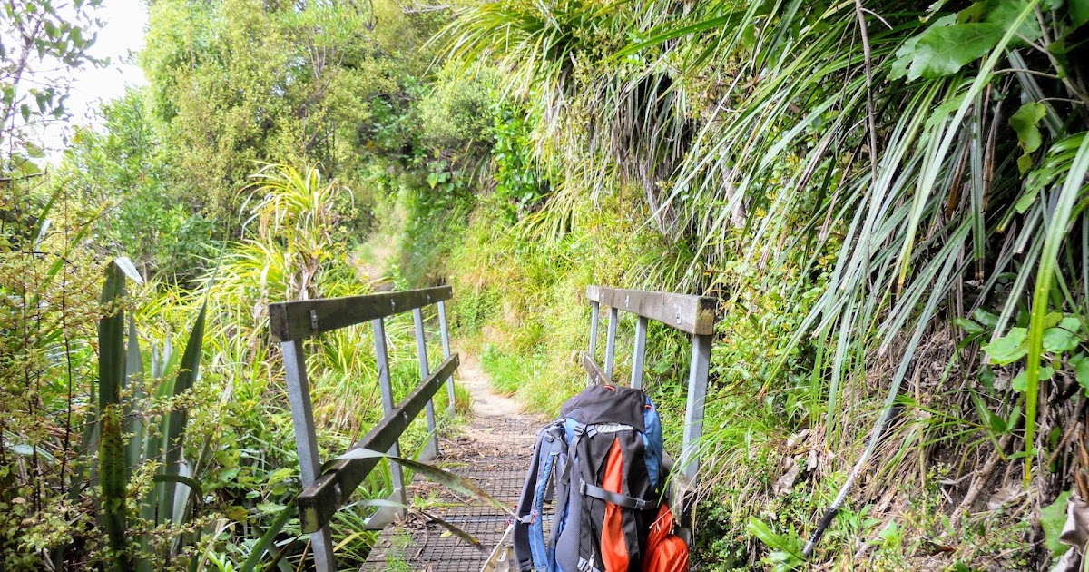 Tramping in the New Zealand backcountry NZ Bush Adventures Tramping