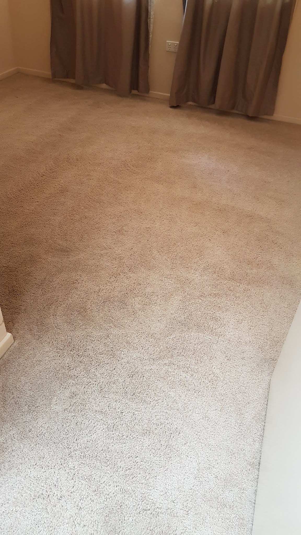 Tru Blue Cleaning Blog