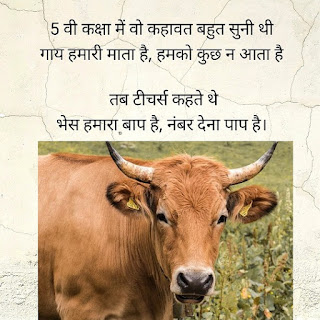 Poem on Cow in Hindi,  cow poetry