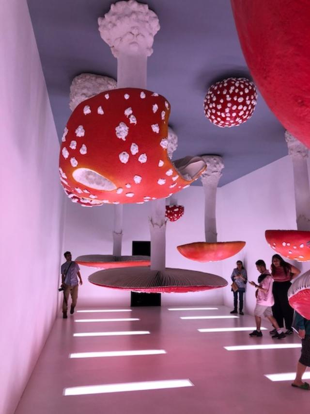 Fondazione prada mushrooms Clearance