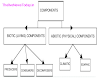 Some Important Environment Questions | Our Environment Components and Importance Of Environment
