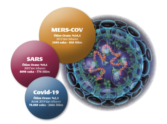 Mers Sars Corona Virüs