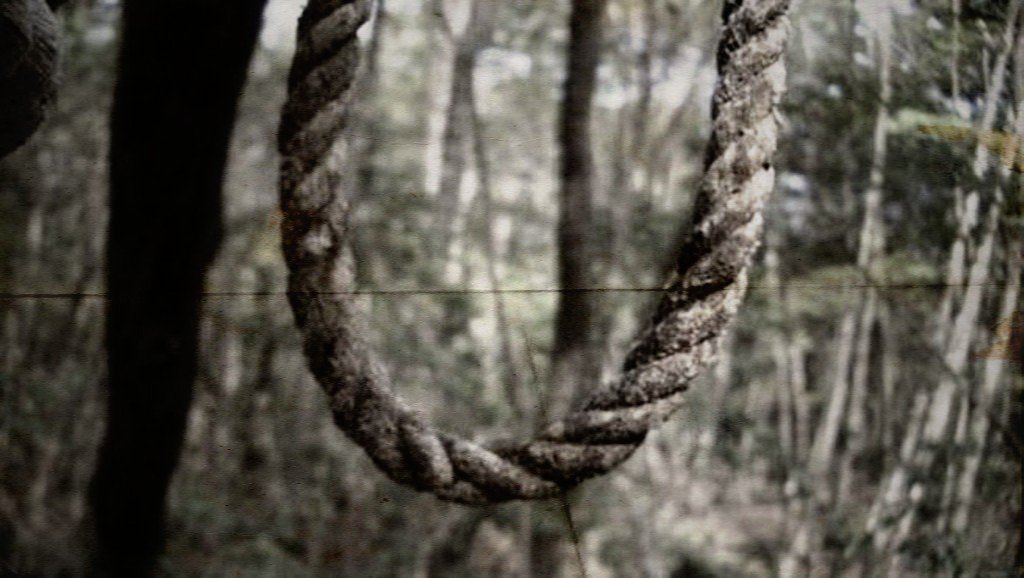 HUTAN BUNUH DIRI AOKIGAHARA ~ Educationorstoryzi