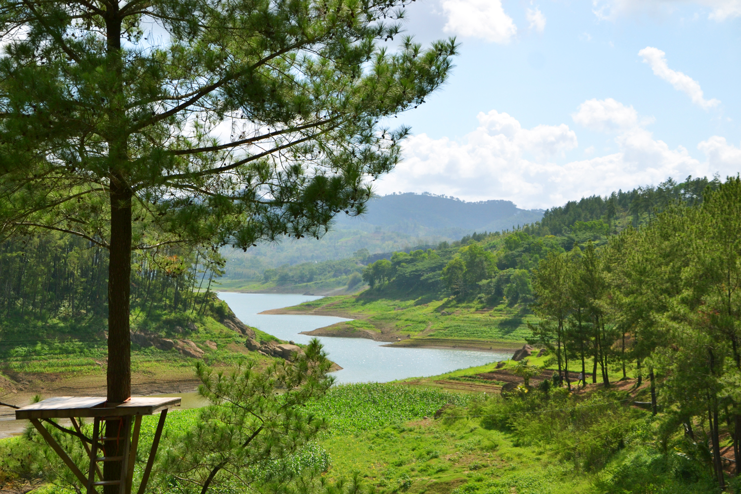 Ranu Gumbolo Tulungagung 2021 / Lokasi Dan Harga Tiket Masuk Ranu