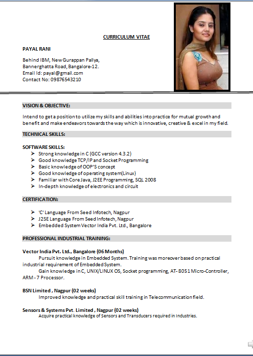 stay at home mom resume sample - Resume