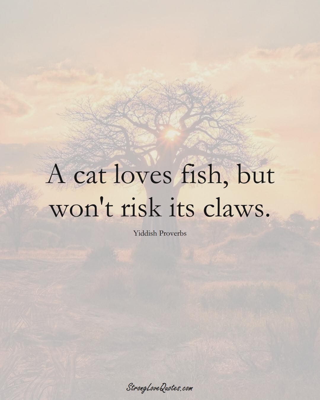 A cat loves fish, but won't risk its claws. (Yiddish Sayings);  #aVarietyofCulturesSayings