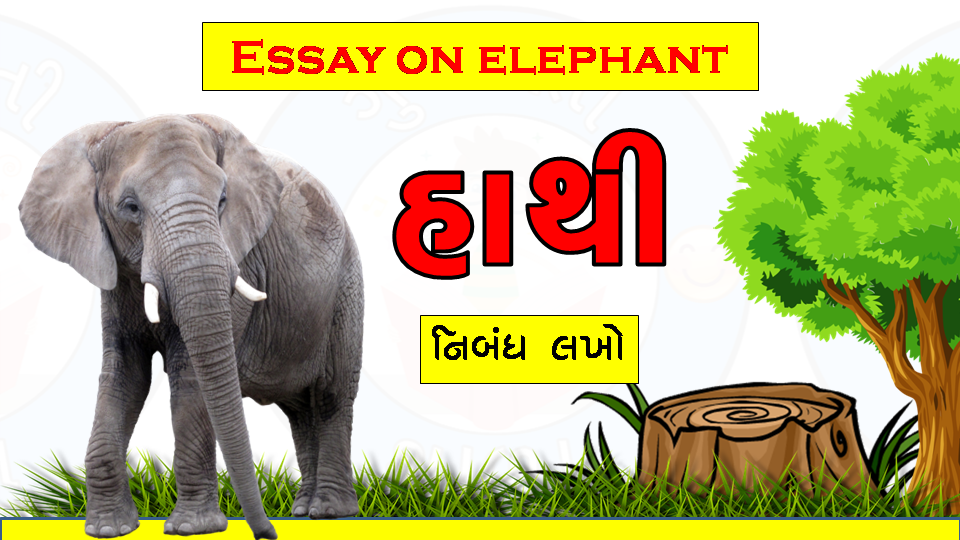 Essay my favourite animal elephant picture