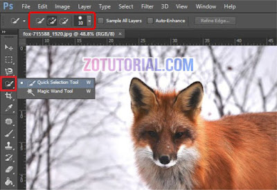 Tutorial Seleksi dan Crop Objek di Photoshop Cepat dan Praktis Tutorial Seleksi dan Crop Objek di Photoshop Cepat dan Praktis