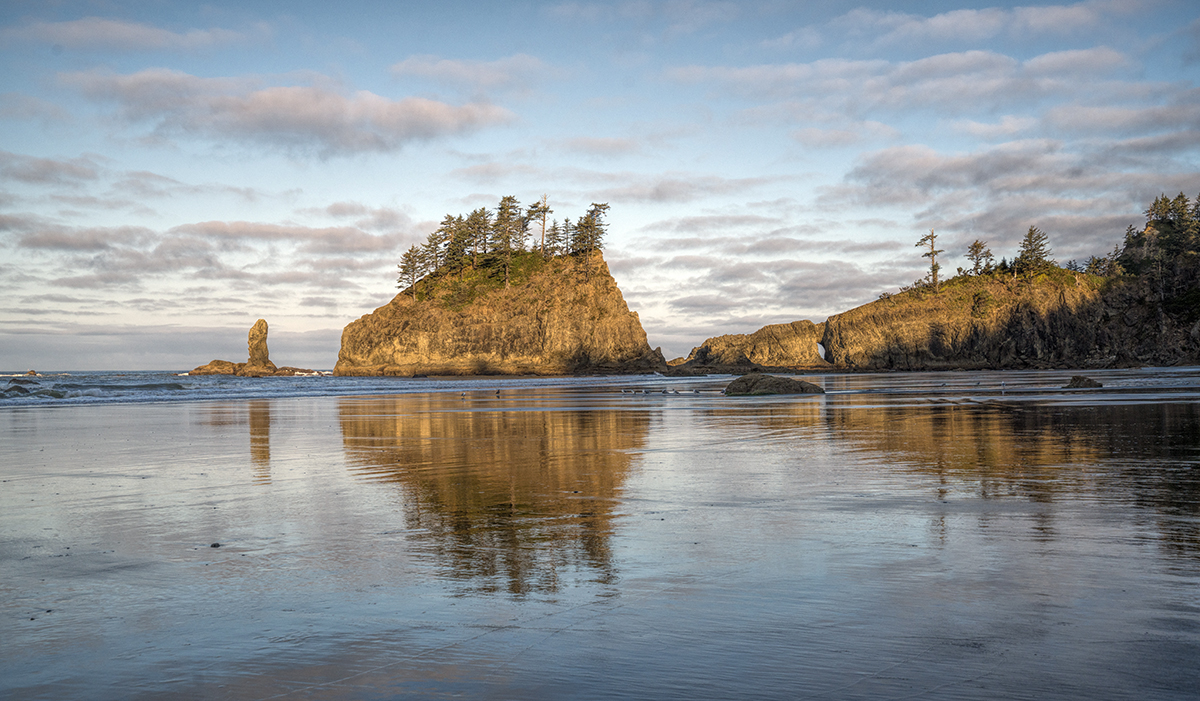 Blair's Photo Diary Second Beach, Forks Washington