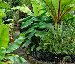 ATGDI50 Appealing Tropical Garden Design Ideas Today:2021 01 28
