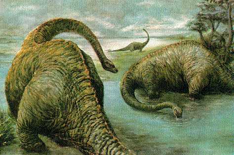 Dinossauros²: Diplodoco