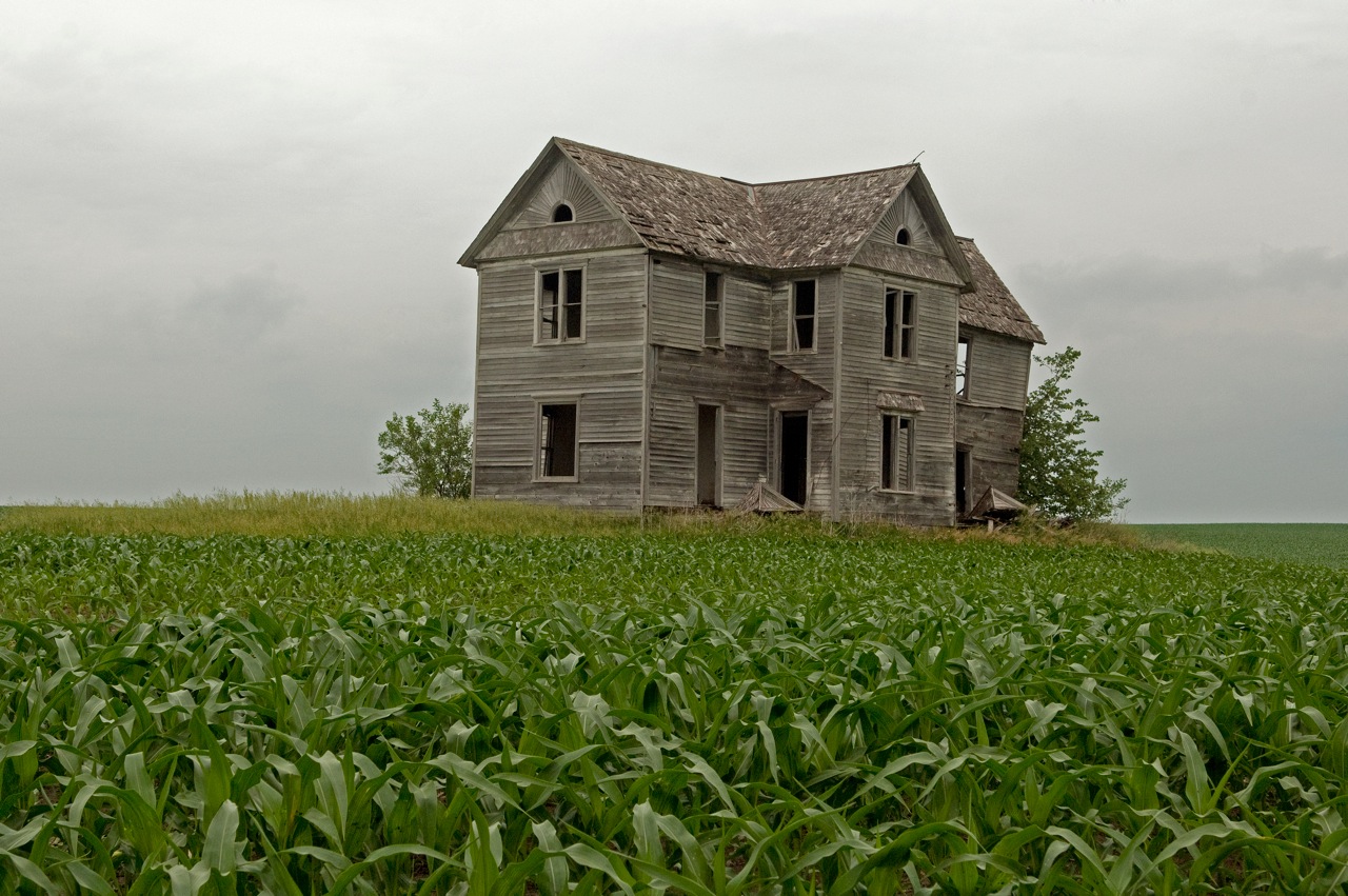 Bailey's Buddy Rural Iowa Variety Photos and Text by Bob Kelly