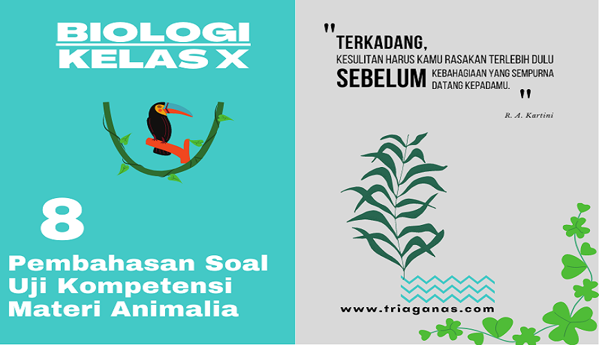 Suatu Hewan Yang Hidupnya Mengapung Di Permukaan Laut Pada Waktu Dipegang Menyebabkan Rasa Gatal Hewan Tadi Termasuk Filum Triaganas Com