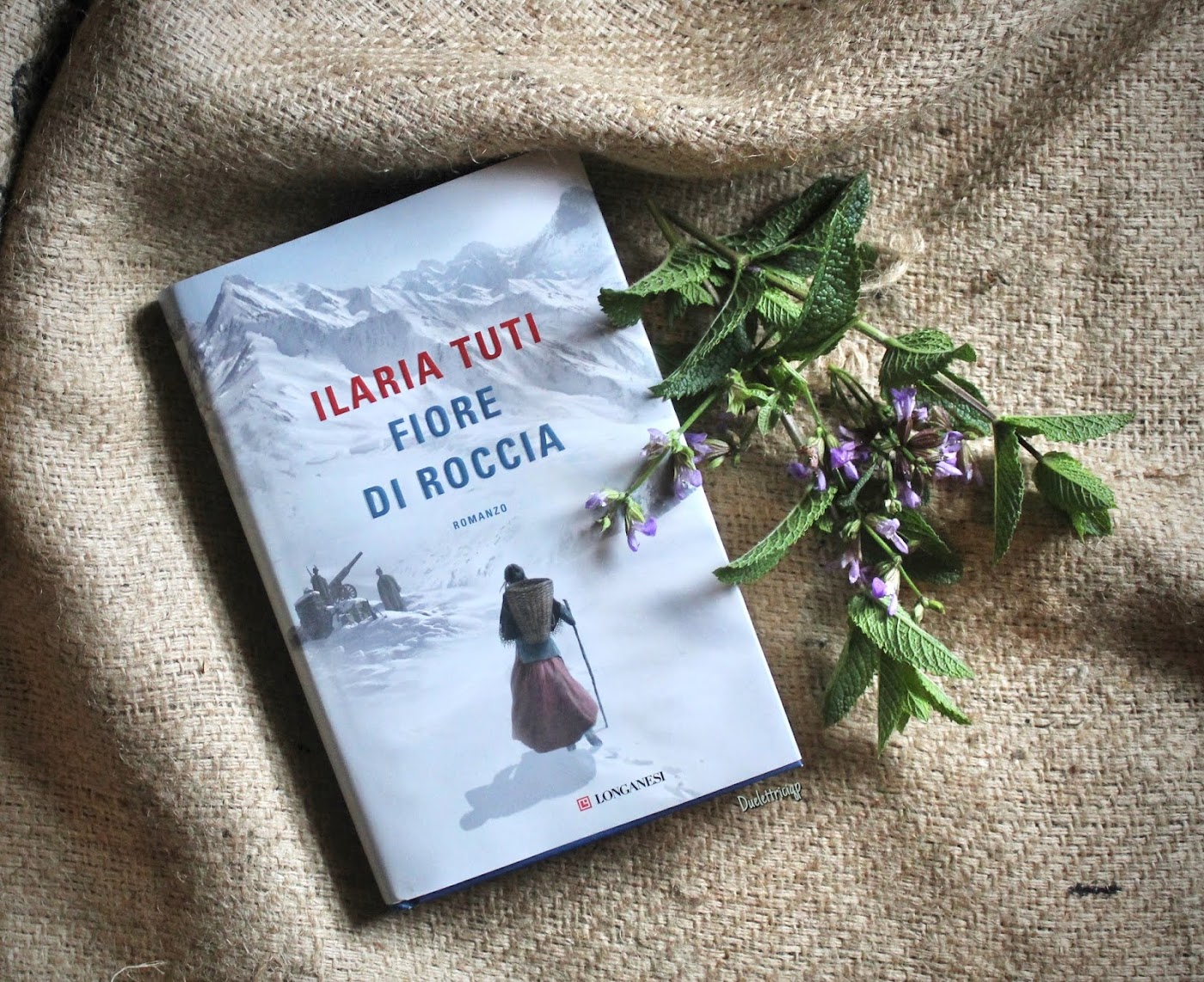 Come Ho Scritto Un Libro Per Caso Come ho scritto un libro per caso - Annet Huizing