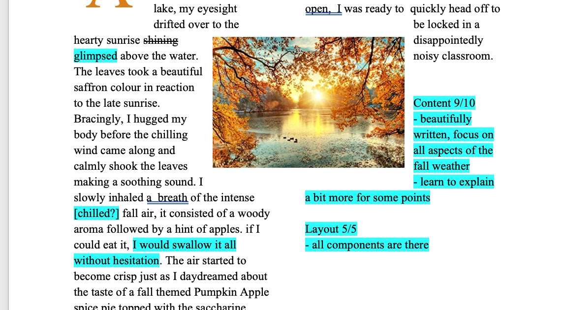 Homework example 2 p 15 essay picture