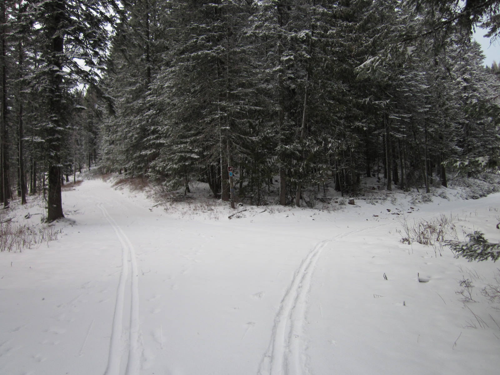 Palouse Backcountry Palouse Divide and East Dennis Conditions