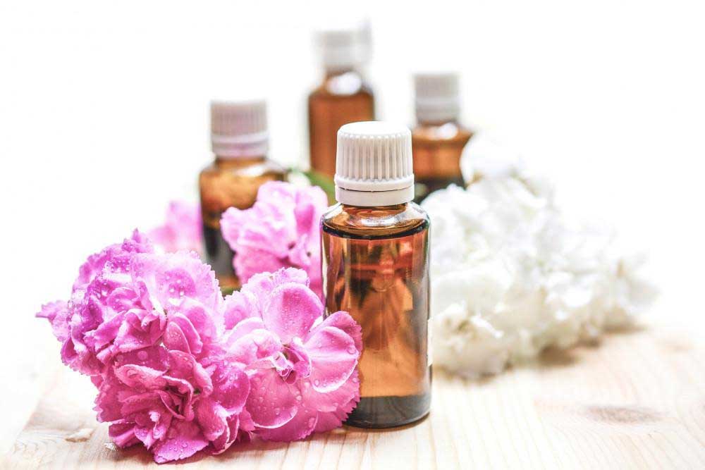 8 Ways That Rosemary Can Improve Our Mental, Emotional, and Physical WellBeing Dr Farrah MD