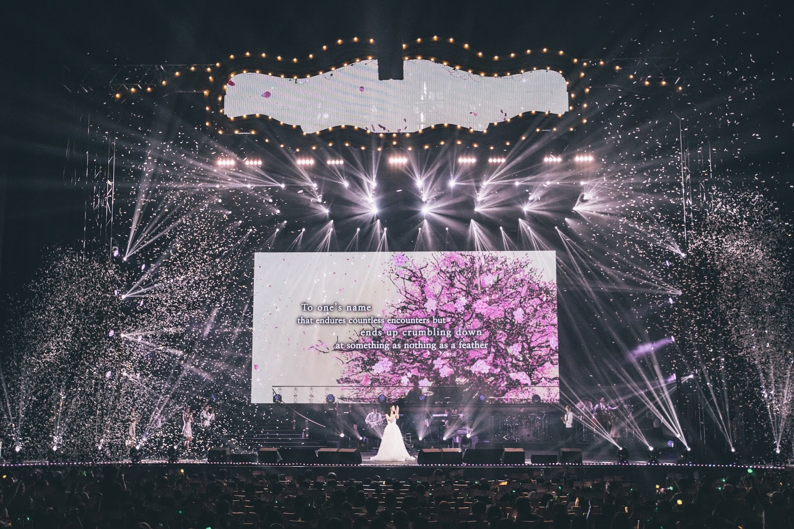 IU a night with her remarkable 