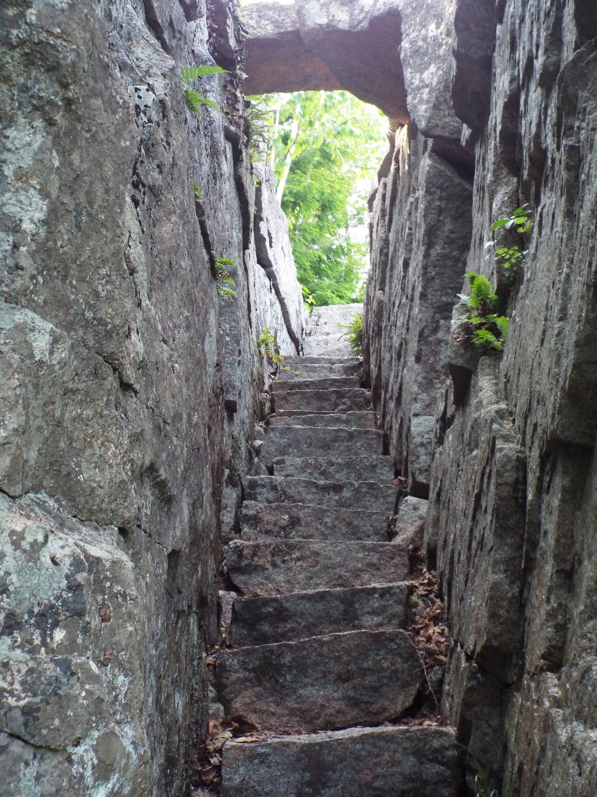 HIKING TRAILS OF ACADIA NATIONAL PARK