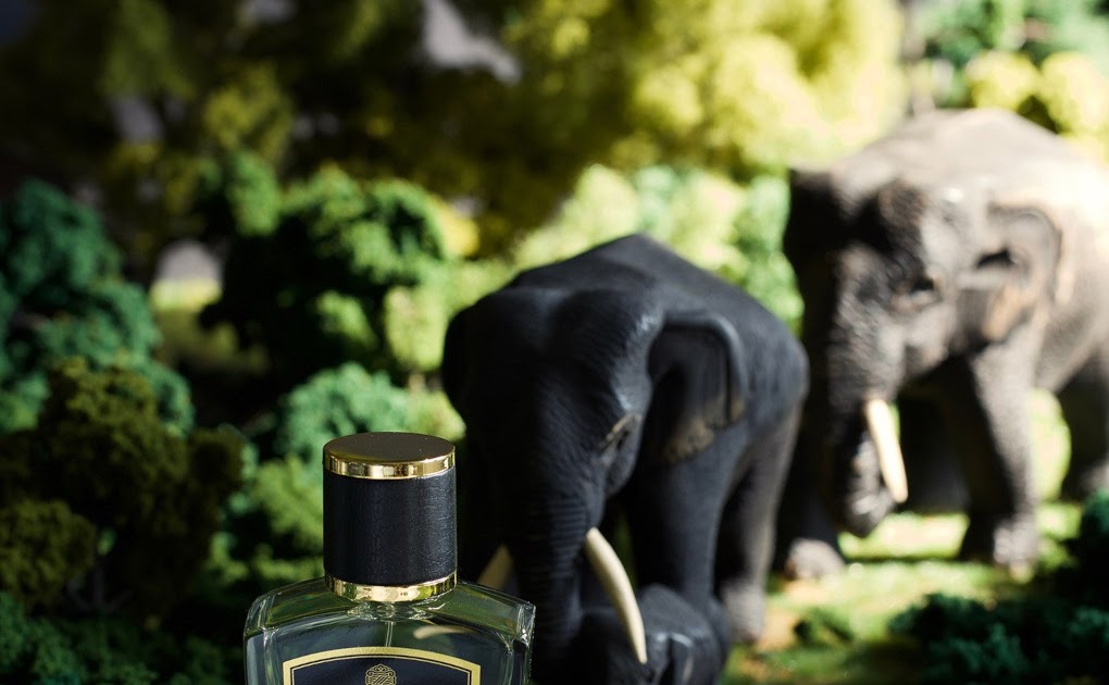 All about the Fragrance Reviews Review Zoologist Elephant
