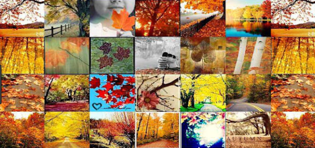 facebook cover photo collage maker free online