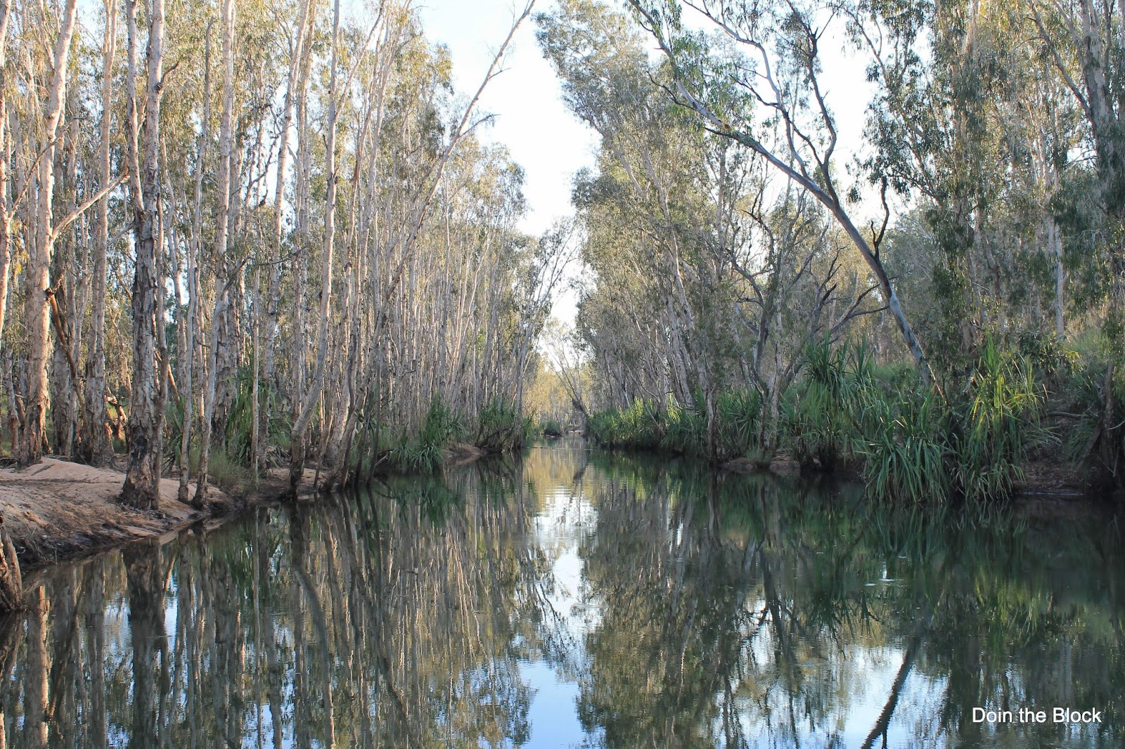 Doin&rsquo; The Block: Day 156 11/5/14 – Drysdale River Station WA