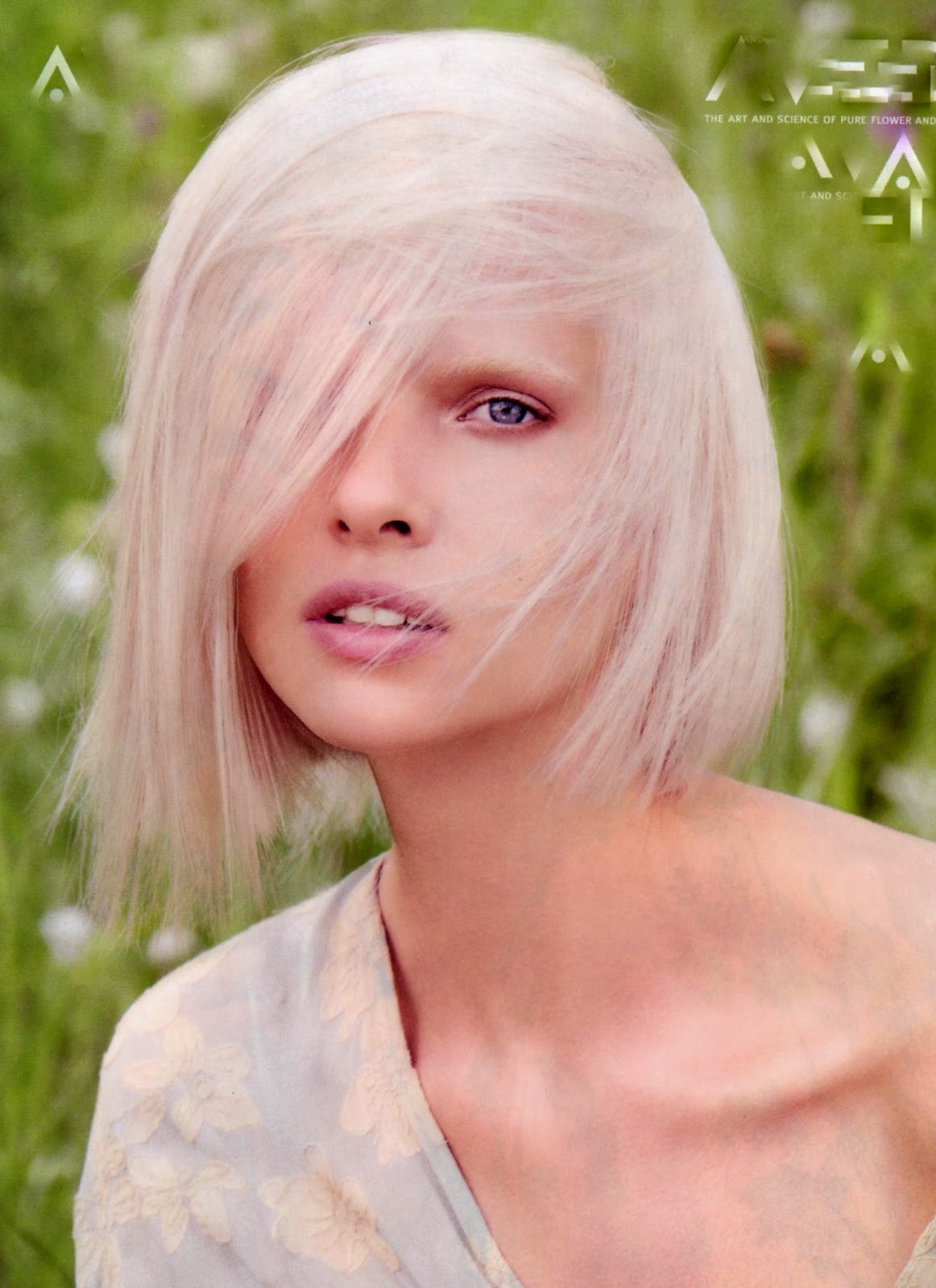 BLEACHING For The Stars Complete Directions on Professional Hair