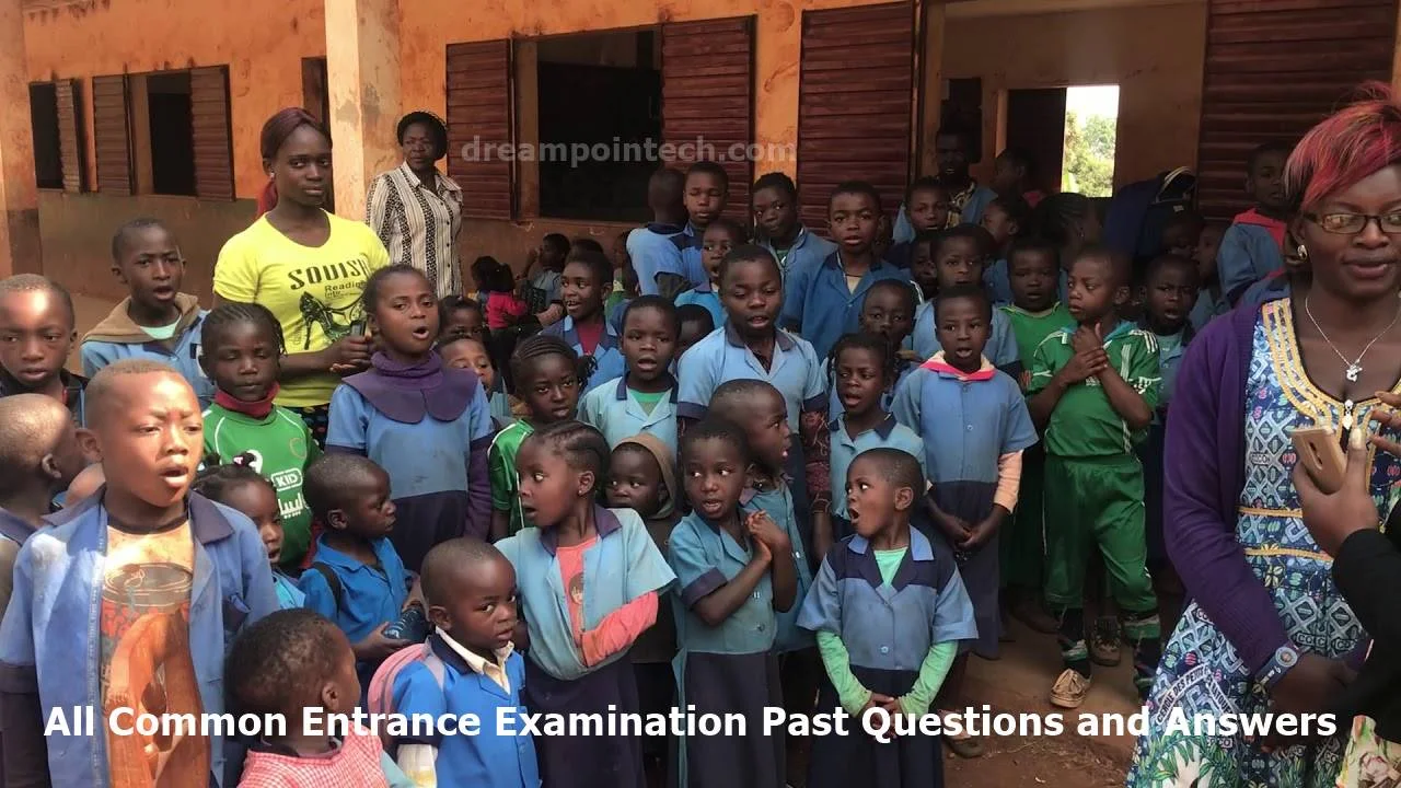 All Common Entrance Examination Past Questions and Answers PDF