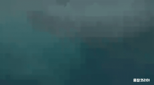 umjjal_kr_213.gif