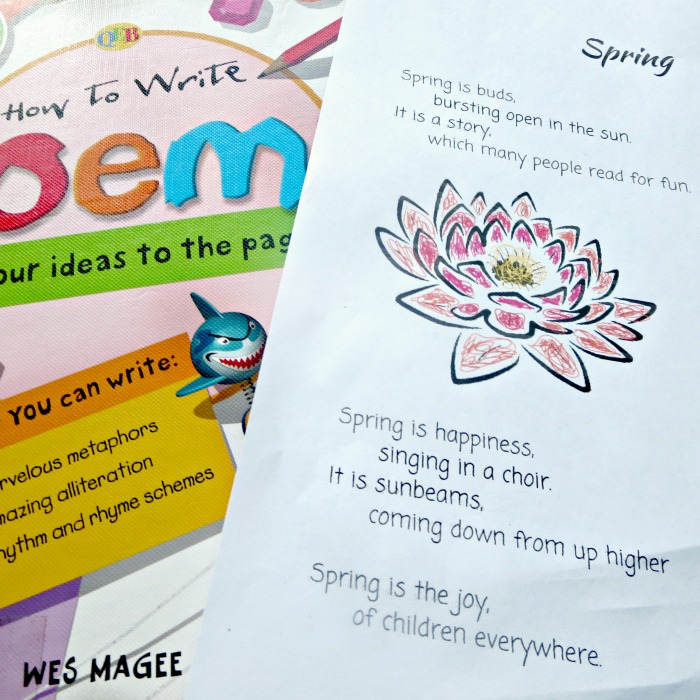 Capturing ganson in metaphor essay picture