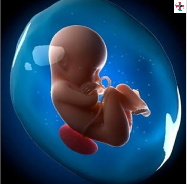 Amniotic fluid can tell much about the health of your growing child